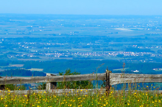 Gäubodenmetropole Straubing - Ferienwohnung Zellwies - Urlaub im Bayerischen Wald